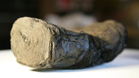 The heat of the volcanic eruption preserved the scrolls.  But they can no longer be rolled out